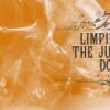  Limpin’ Express - The Jumpin’ Bones - Dog Beat, Live at six dogs